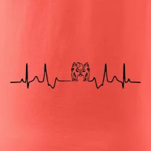 Shih-tzu ekg hlava Shih-tzu ekg hlava