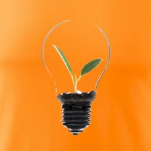 Žiarovka kvetináč