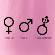 Female male programmer
