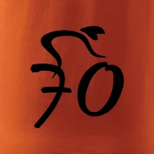 Cyklista oslavuje sedemdesiatku (70)