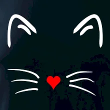 Mačka - srdce namiesto nosa