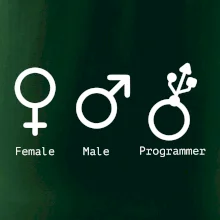 Female male programmer Female male programmer