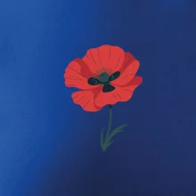 Vlčí mak kreslený veľký