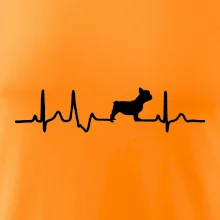 EKG Francouzský buldoček z boku
