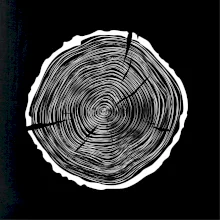 Letokruhy 55 bez veku