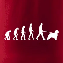 Evolúcia pes Briard