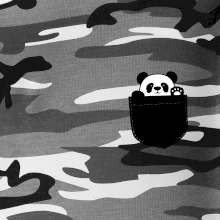 Panda vo vrecku Panda vo vrecku