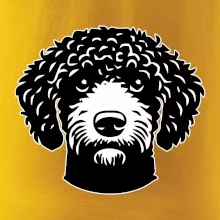 Lagotto romagnolo hlava na prsníku