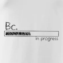 In progress titul Bc. bakalár / bakalárka