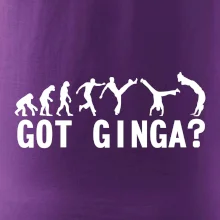 Capoeira - Got Ginga