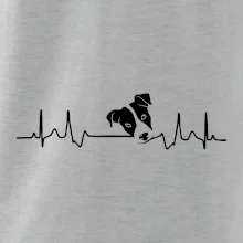 Jack Russell Terriér Ekg