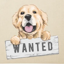 Zlatý retriever - šteniatko wanted