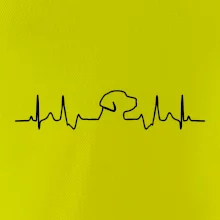 Labradorský retriever EKG Labradorský retriever EKG