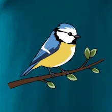 Sýkorka modrinka na vetve