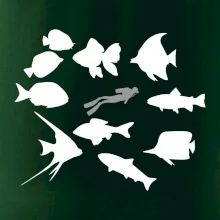 Potápač ryby štvorec