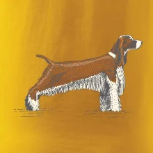 Vintage Springer spaniel