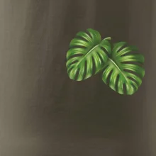 Monstera listy na prsu