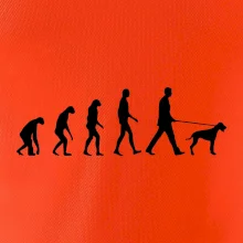 Evolúcia pes stavač Evolúcia pes stavač