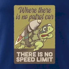 Korytnačka na cestách