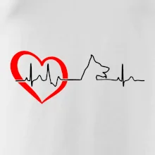 Nemecký ovčiak ekg