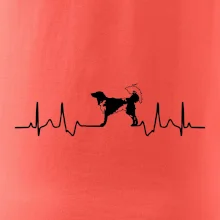 Český strakatý pes EKG