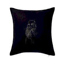 Perzská mačka čierna fotka