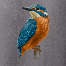 Ľadnáčik kreslený