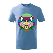 Mačka pri farebnom západe