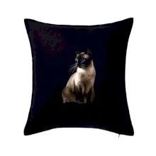 Siamská mačka čierna fotka