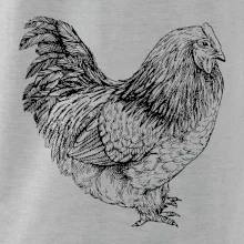 Sliepka čiernobiela