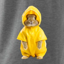 Králik v pláštenke