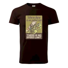 Korytnačka na cestách