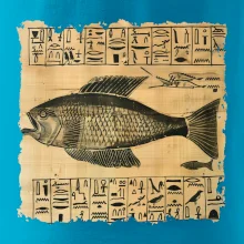 Egyptské hieroglyfy ryba