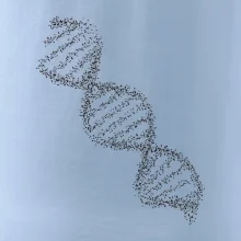 DNA čiernobiele DNA čiernobiele