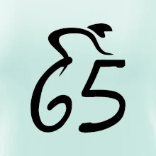 Cyklista oslavuje šesťdesiatpäťku (65)