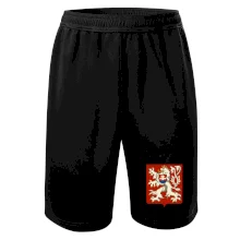 Znak ČSR - Československá republika (1948–1960) Znak ČSR - Československá republika (1948–1960)