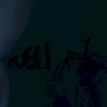 Evolúcia agility žena