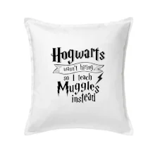 Harry - Hogwarts wasn’t hiring, so I teach Muggles instead