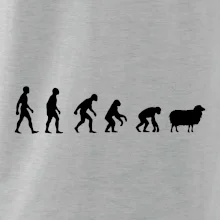 Evolúcia ovce Evolúcia ovce