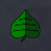 Prší - Zelený - prso