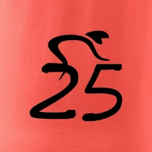 Cyklista oslavuje dvadsaťpäťku (25)