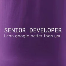Senior developer google better than you