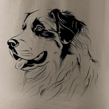 Bernský salašnícky pes čierna kresba