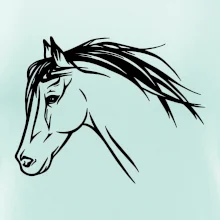 Kôň - hlava celá Kôň - hlava celá