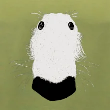 Barzoj čumák (Moňas)