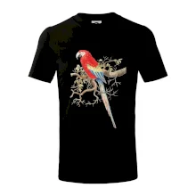 Papagáj  na listnatom strome