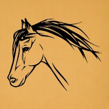 Kôň - hlava celá