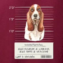 Baset - lump a darebák  