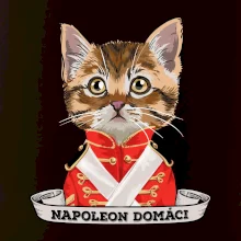Napoleon domáci mačka