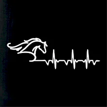 Hlava koňa EKG Hlava koňa EKG